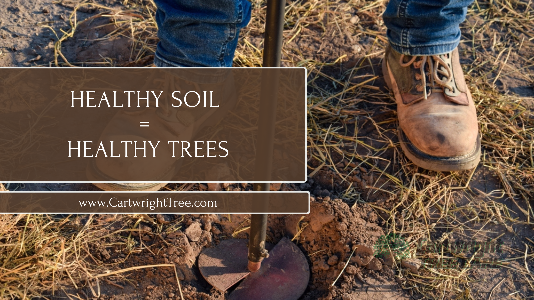 Healthy Soil = Healthy Trees
