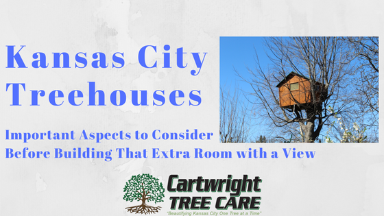 Kansas City Treehouses – Important Aspects to Consider Before Building That Extra Room with a View