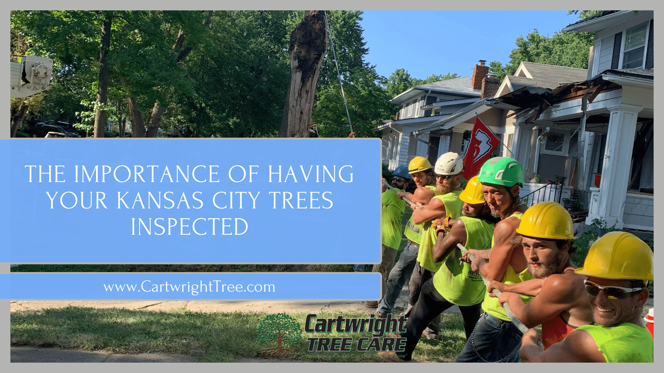 The Importance of Having Your Kansas City Trees Inspected