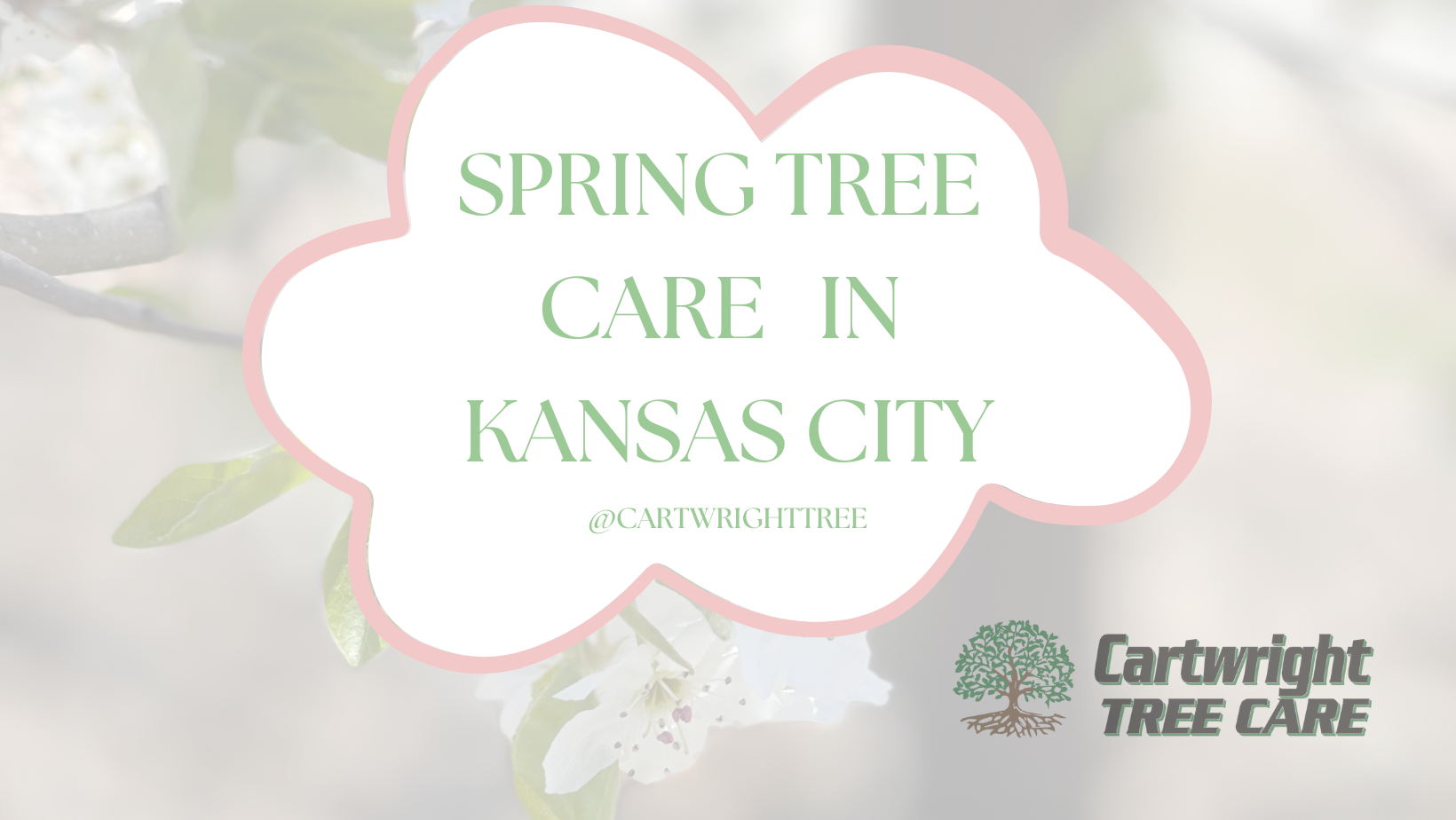 Spring Tree Care In Kansas City