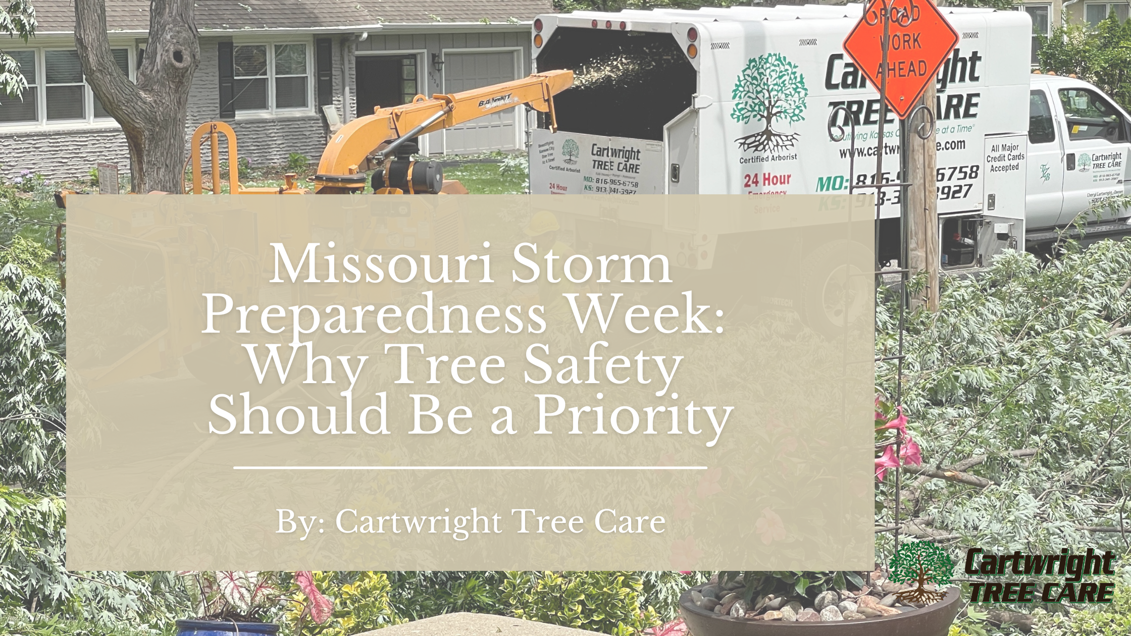 Missouri Storm Preparedness Week Why Tree Safety Should Be a Priority