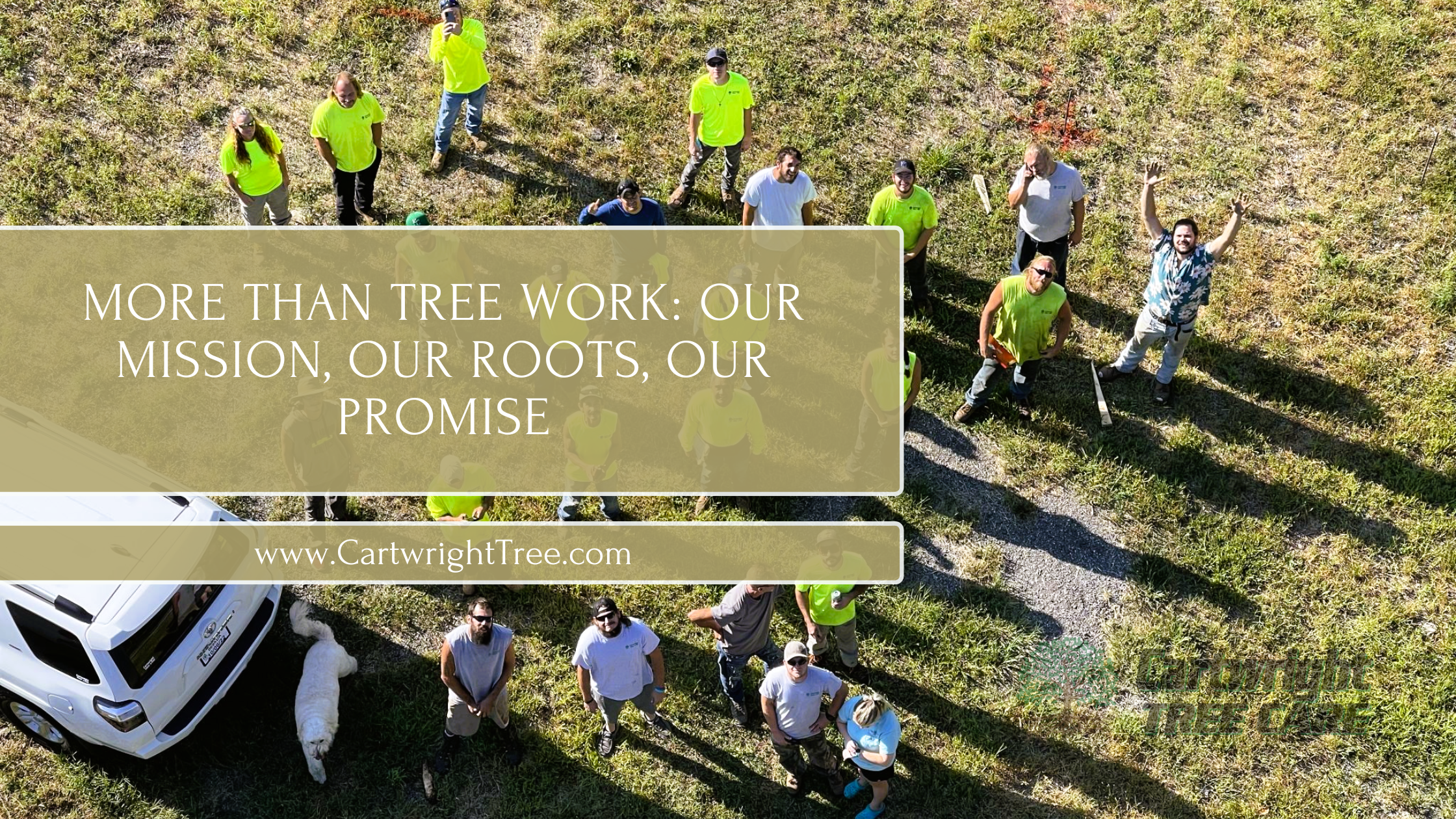 More Than Tree Work Our Mission, Our Roots, Our Promise