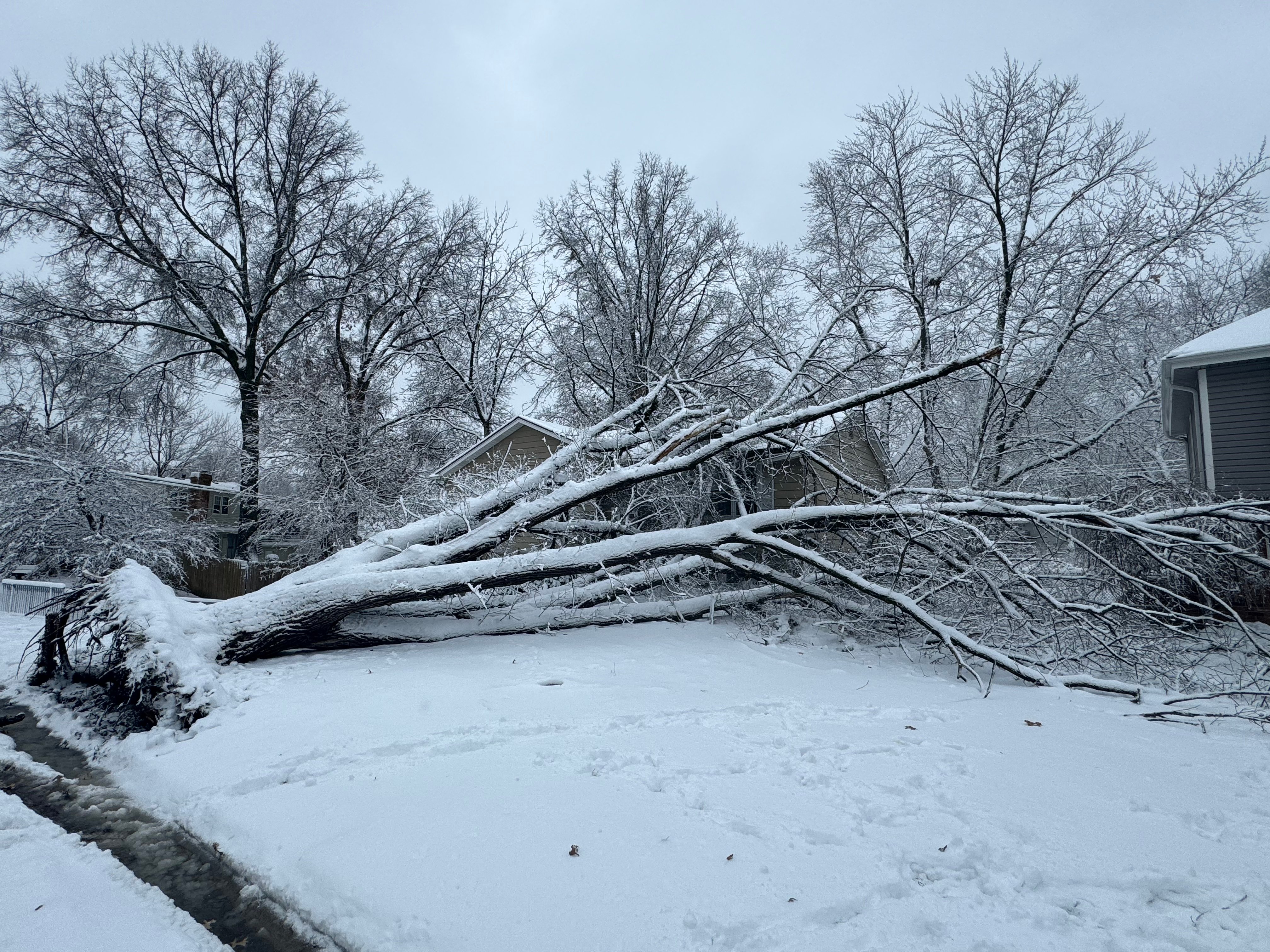 Photo Jan 09 2024, 12 57 49 PM