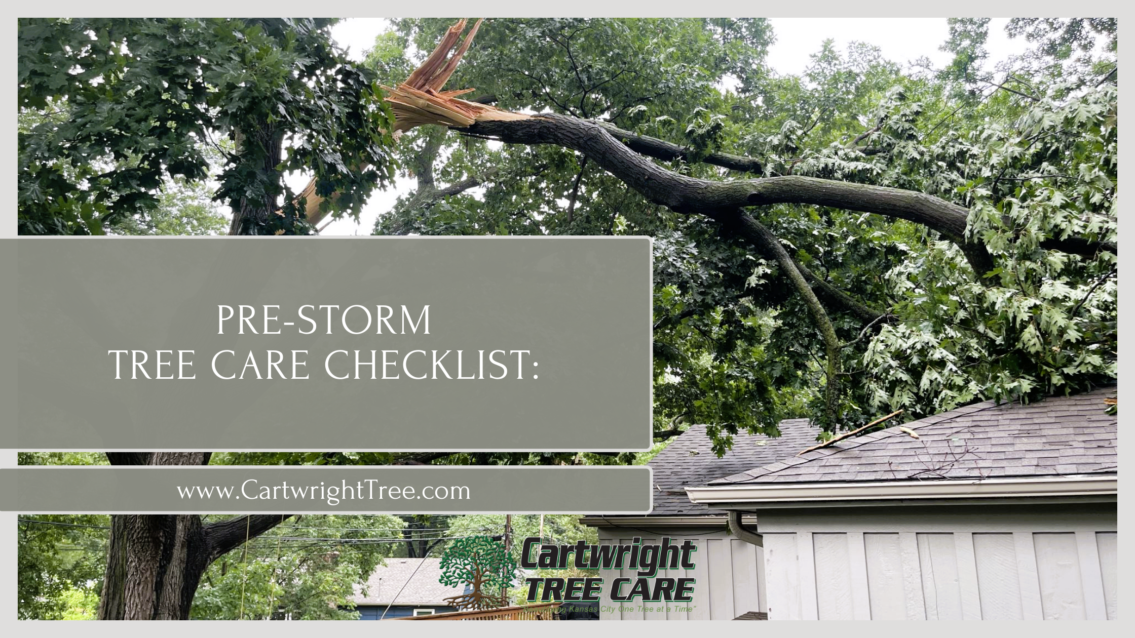 Pre-Storm Tree Care Checklist