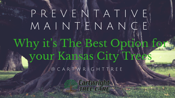 Preventative Maintenance