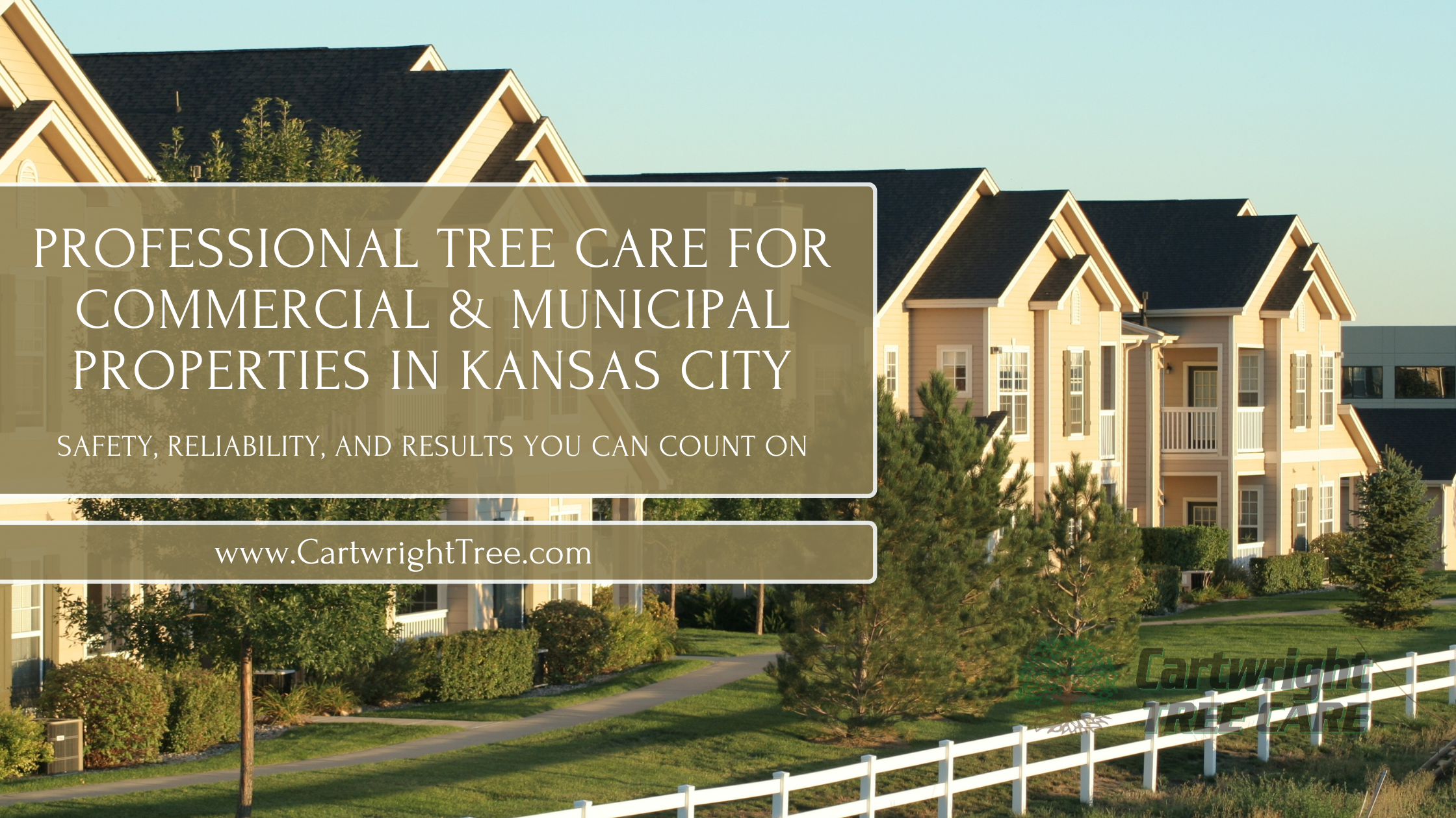 Professional Tree Care for Commercial