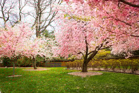Spring Campain Email