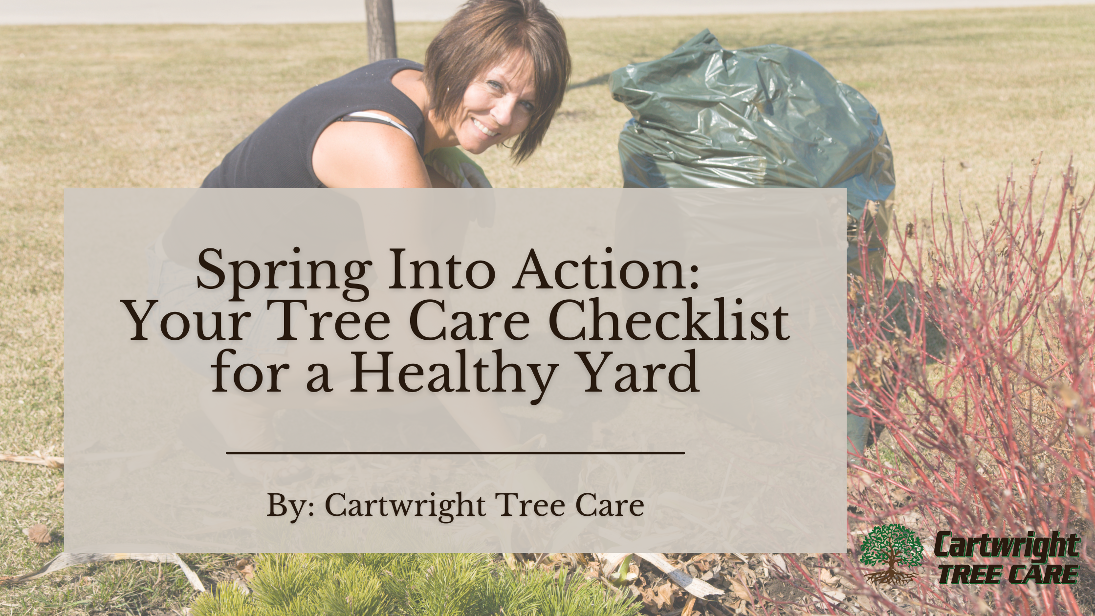 Spring Into Action Your Tree Care Checklist for a Healthy Yard