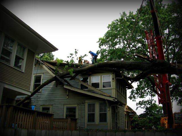 StormDamage1-2.jpg