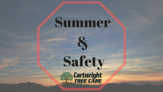 Summer & Safety