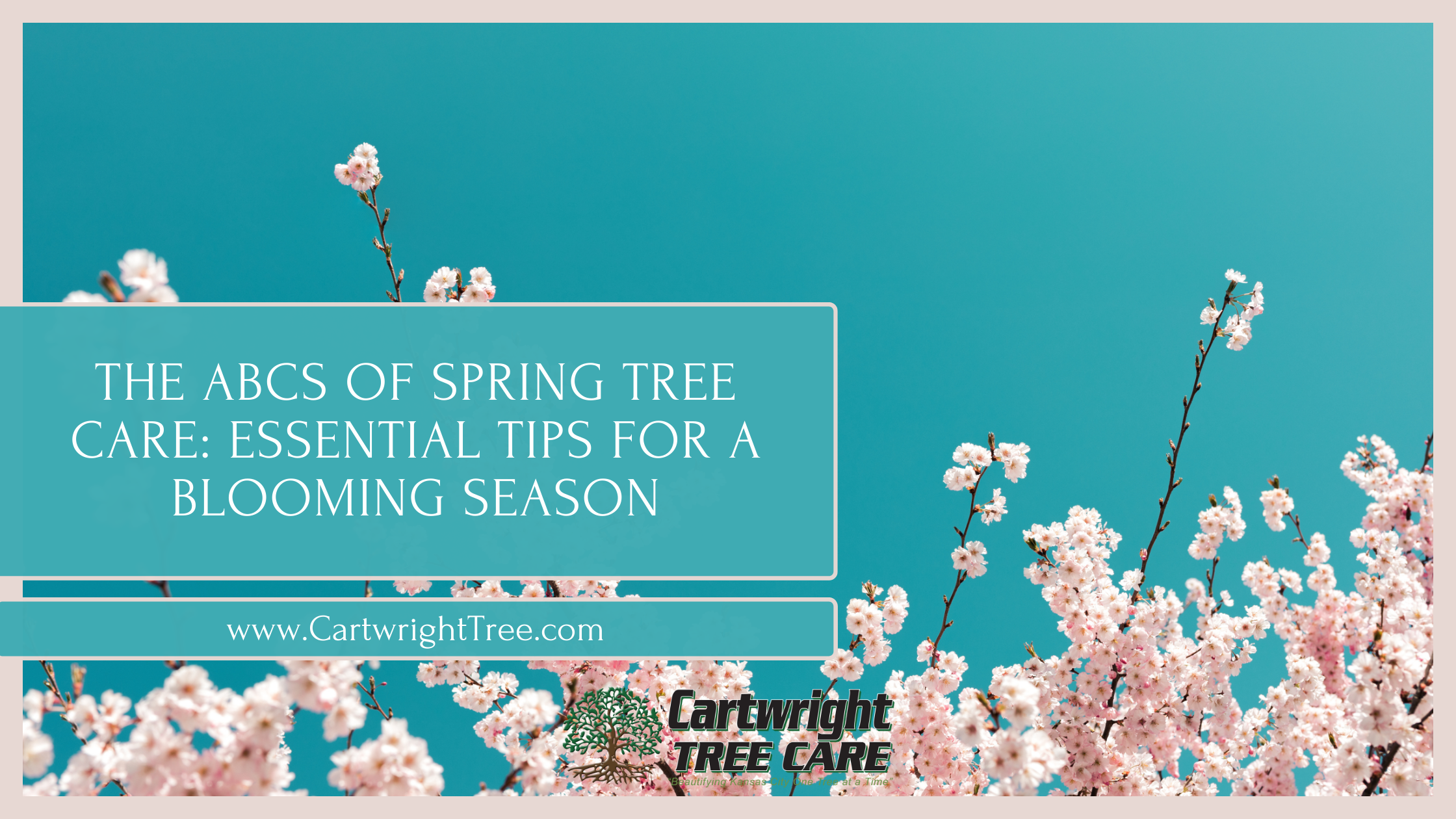 The ABCs of Spring Tree Care Essential Tips for a Blooming Season