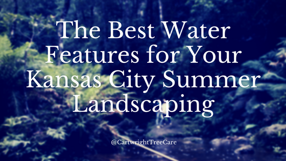 The Best Water Features for Your Kansas City Summer Landscaping