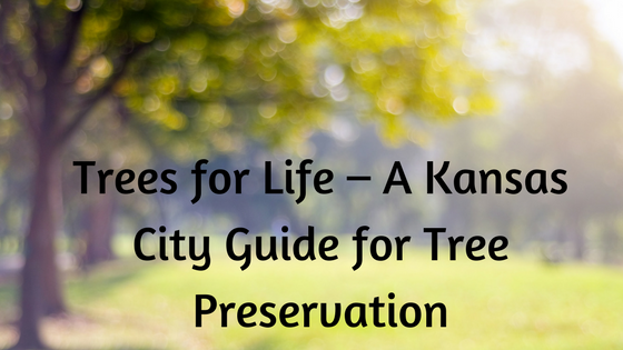 Trees for Life – A Kansas City Guide for Tree Preservation