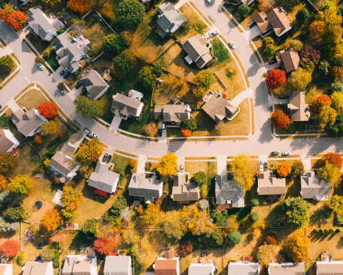 Untitled (500 x 400 px) (3)