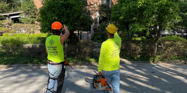 Untitled (500 x 400 px) (600 x 300 px) (1)