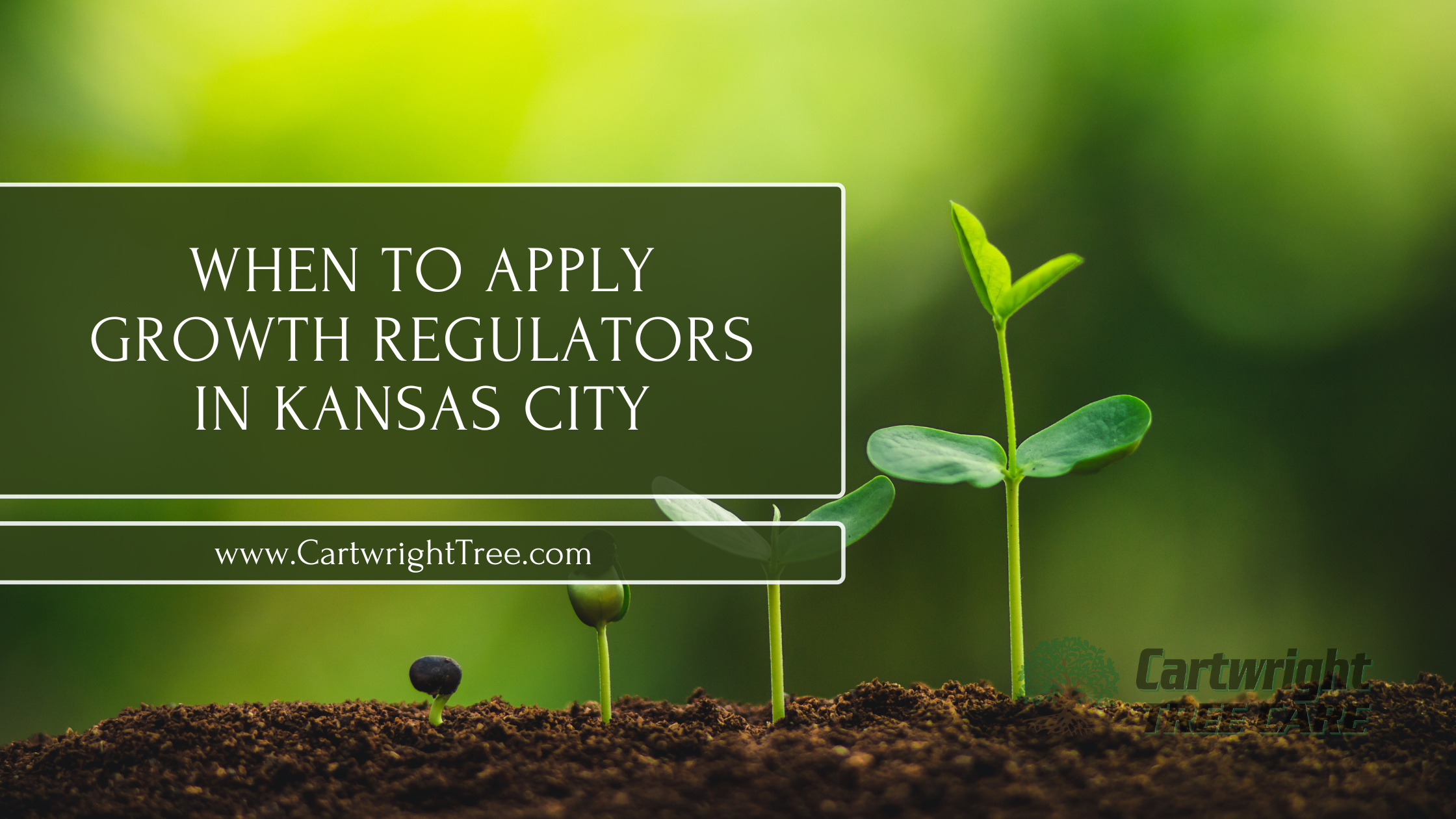When to Apply Growth Regulators in Kansas City
