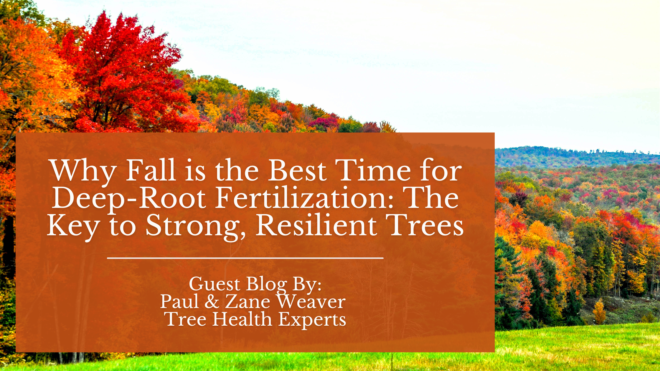 Why Fall is the Best Time for Deep-Root Fertilization