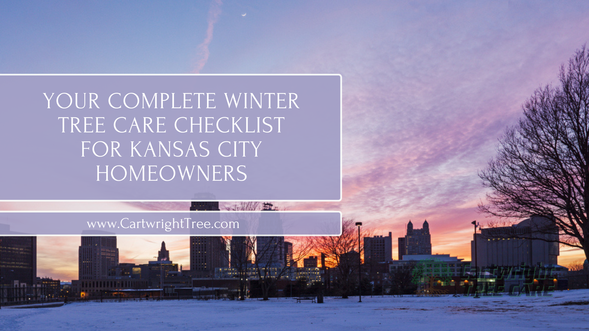 Your Complete Winter Tree Care Checklist for Kansas City Homeowners