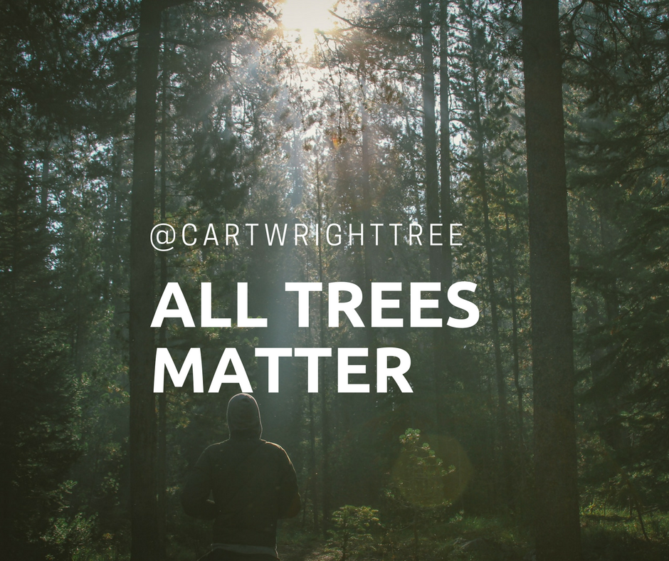 all trees matter.png