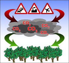 co2