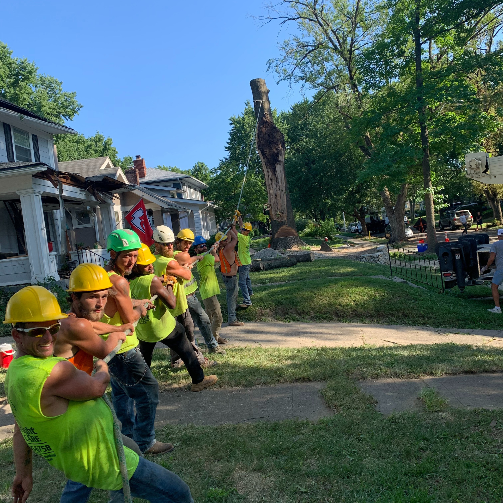 Cartwright Tree Care crew working together as a team Cartwright Tree Care crew working together as a team