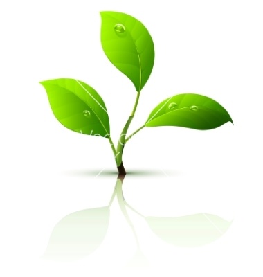 green-leaves-vector-228320.jpg