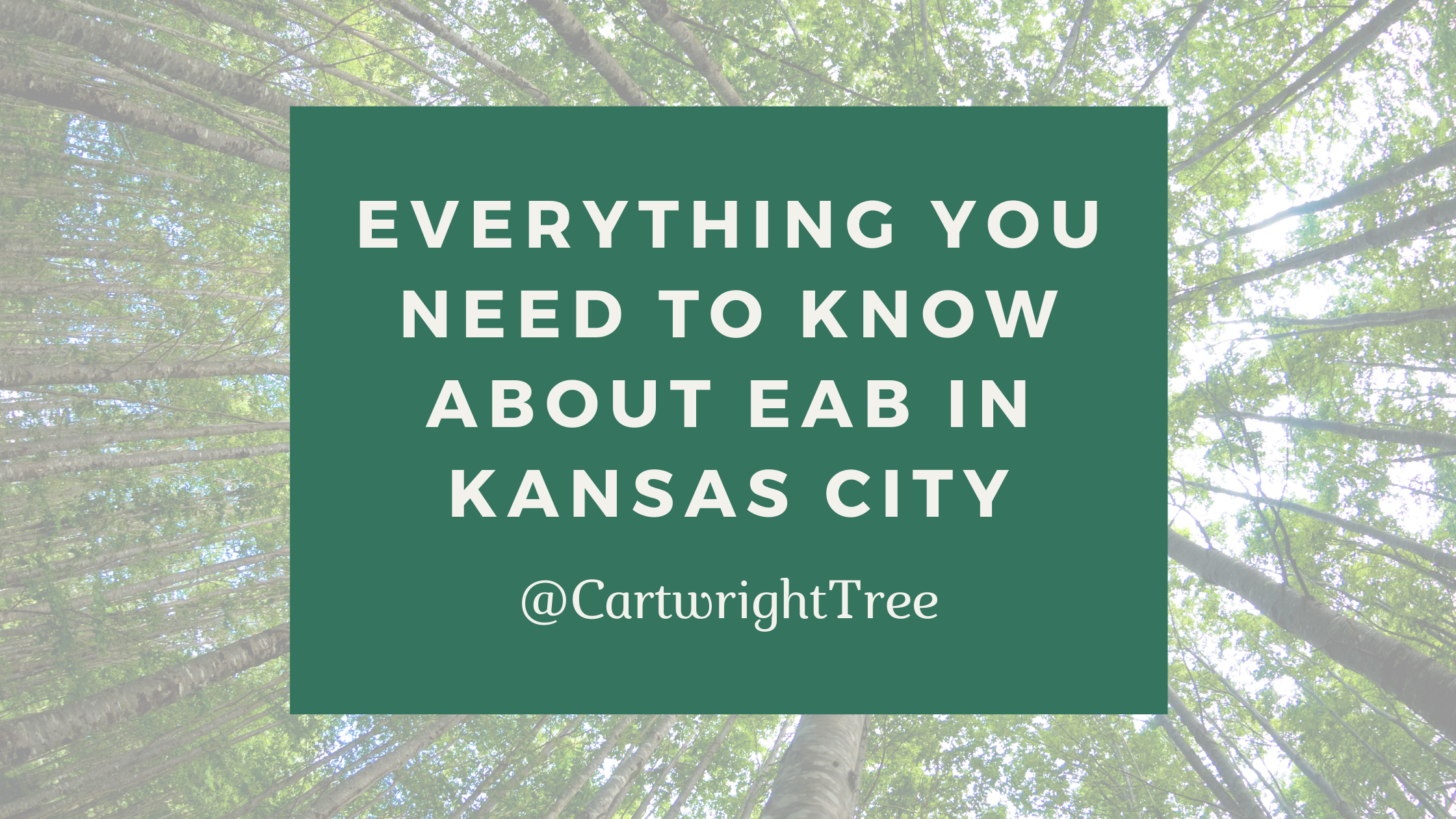 july 2021 EAB blog 
