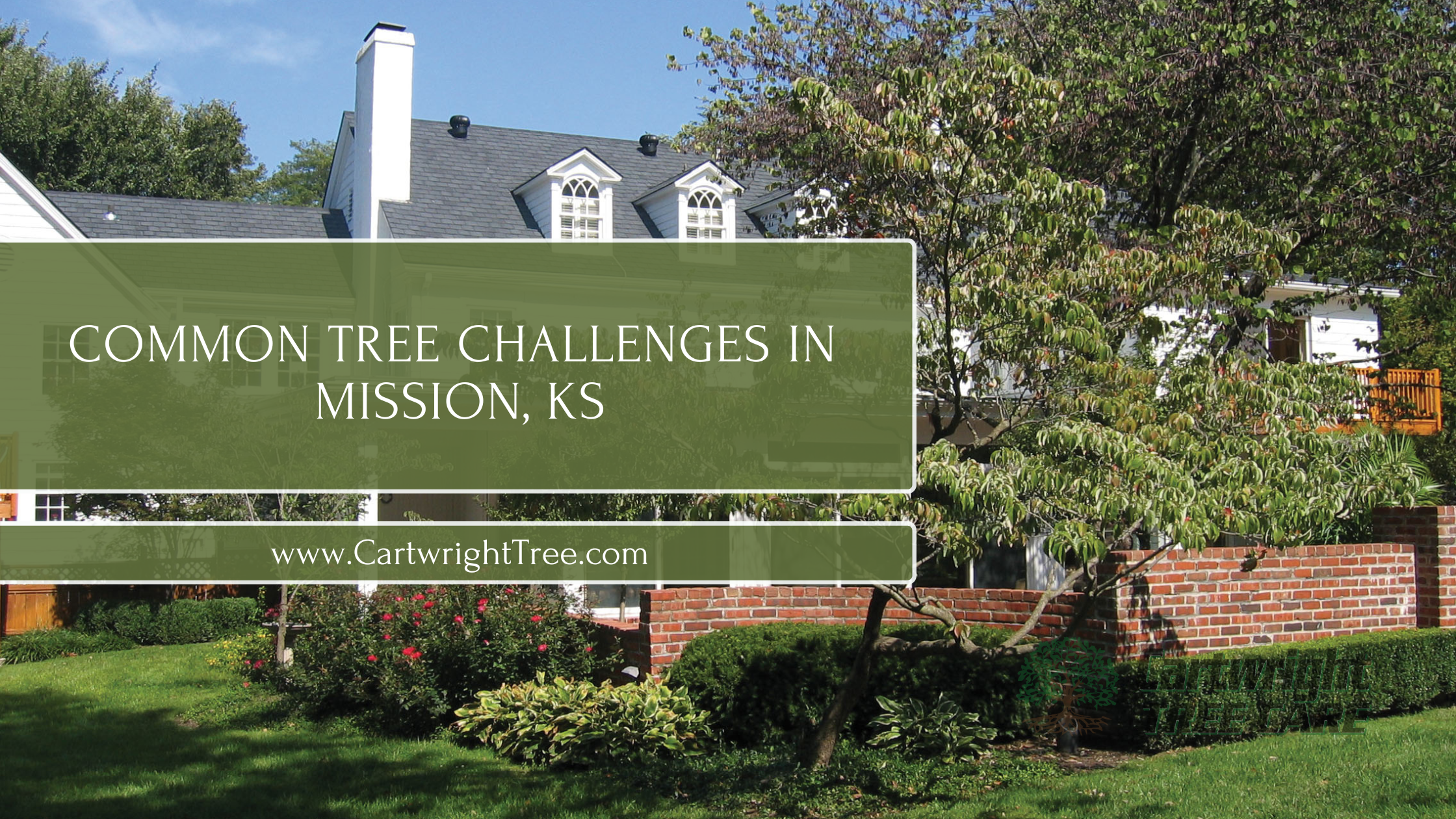 mission ks blog cover