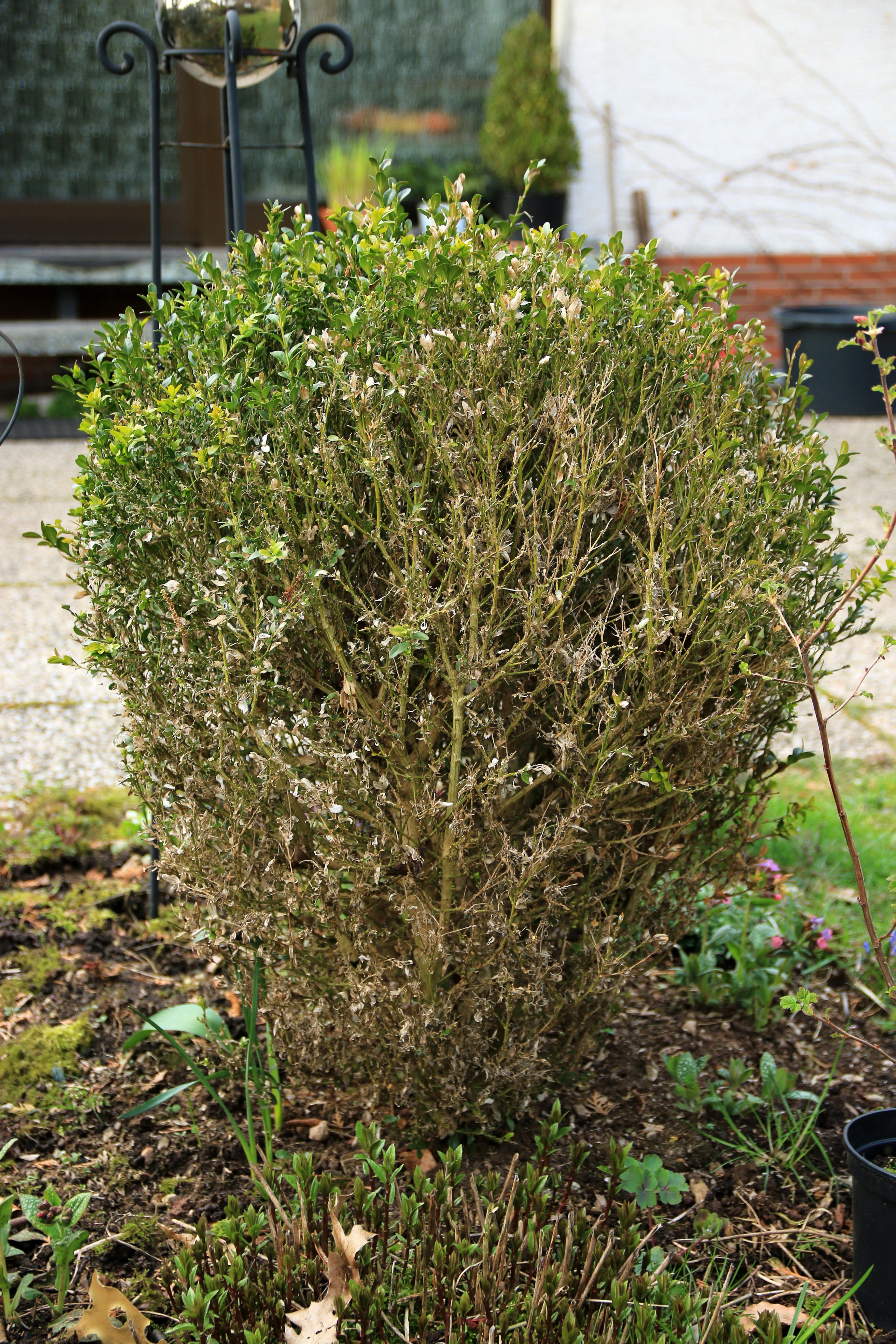 shutterstock_1449169610