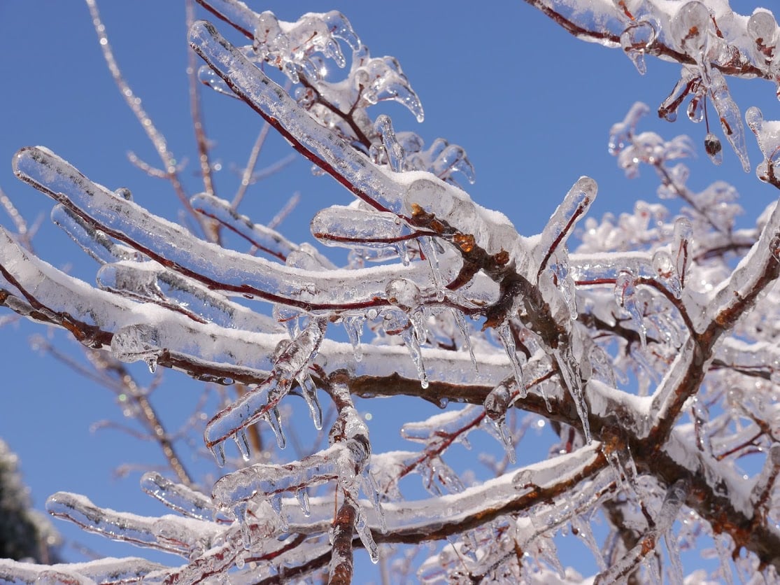 shutterstock_169132679-1