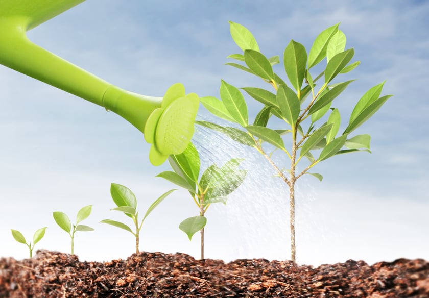 Tree Nuturing Tree Care Tips: A Guide to Nurturing your Trees!