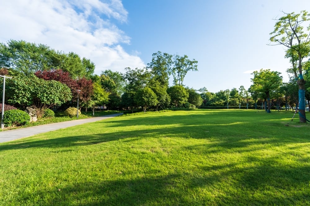 shutterstock_2329937255