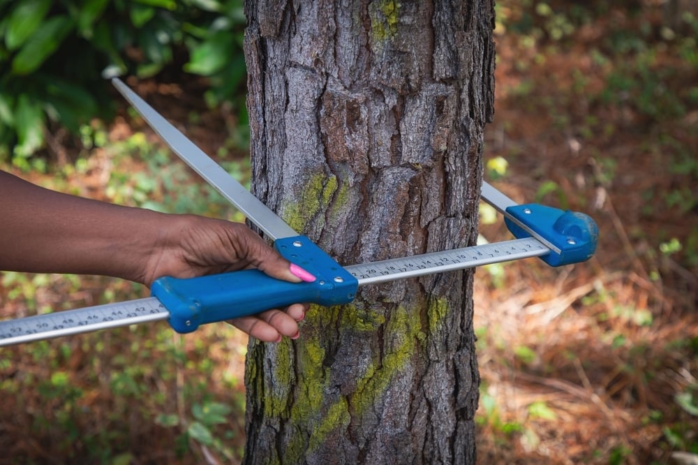 shutterstock_2638562593