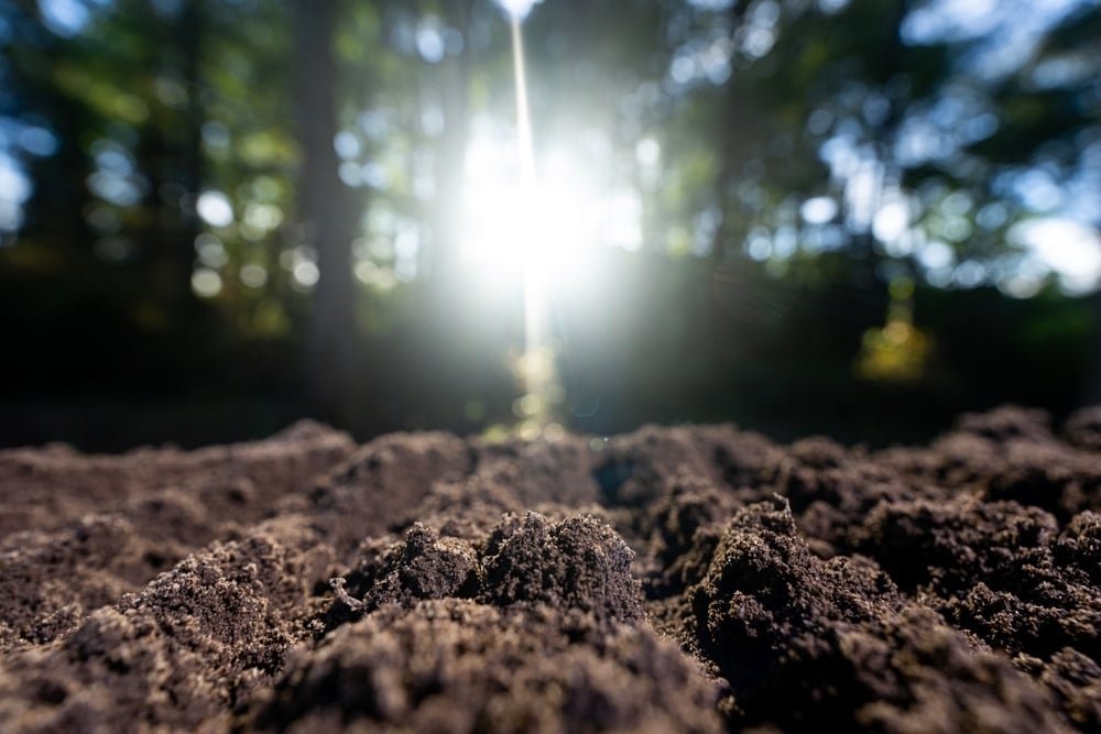 shutterstock_2693445233