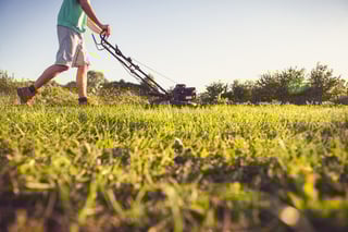 shutterstock_289656836-1.jpg