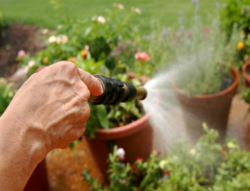 watering_plants