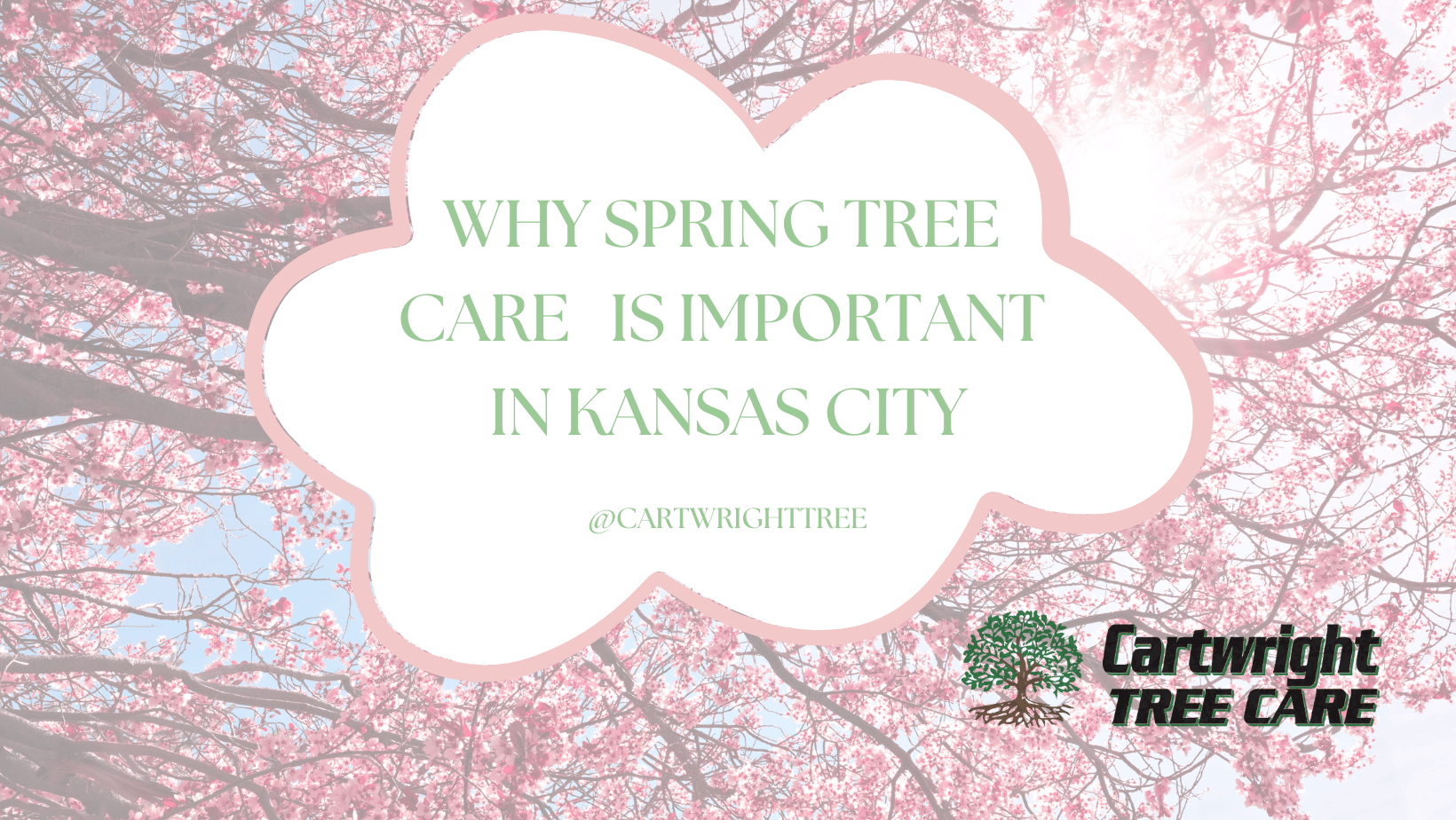 Why Spring Tree Care Is Important In Kansas City