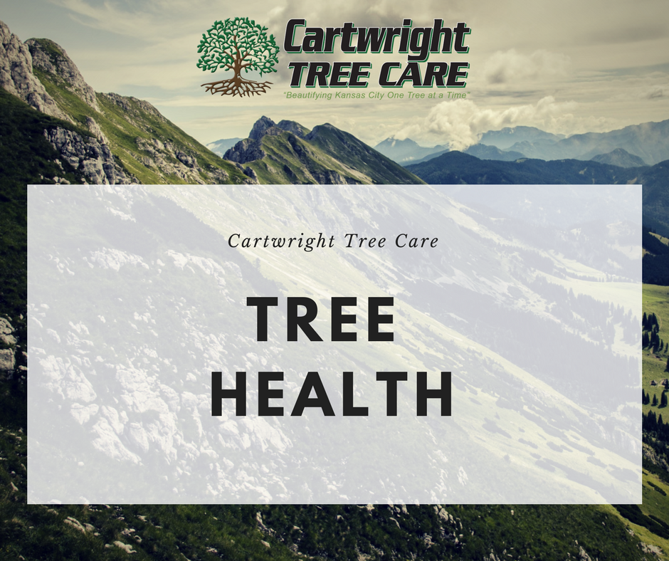 Tree Health.png