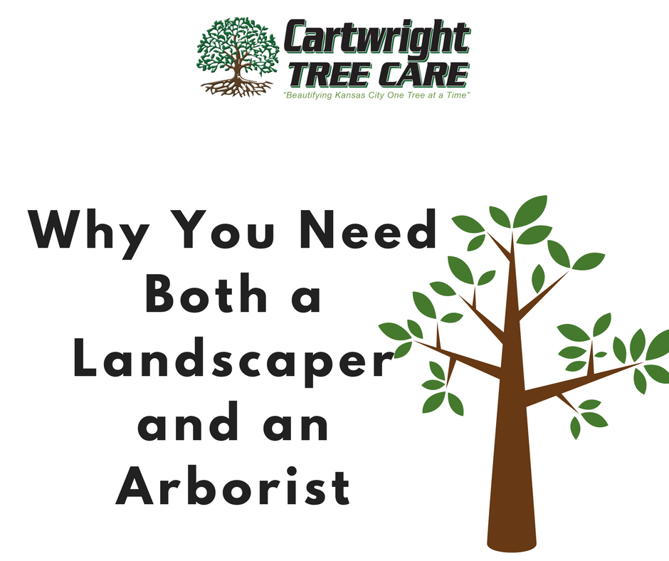 Why you need a landscaper and an arborist.png