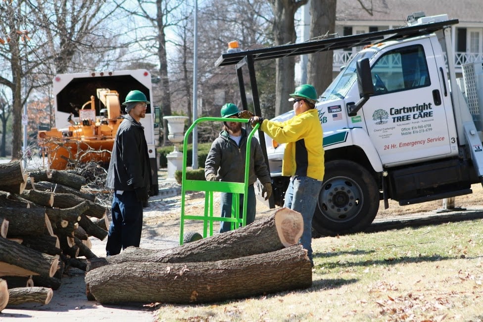tree service in kansas