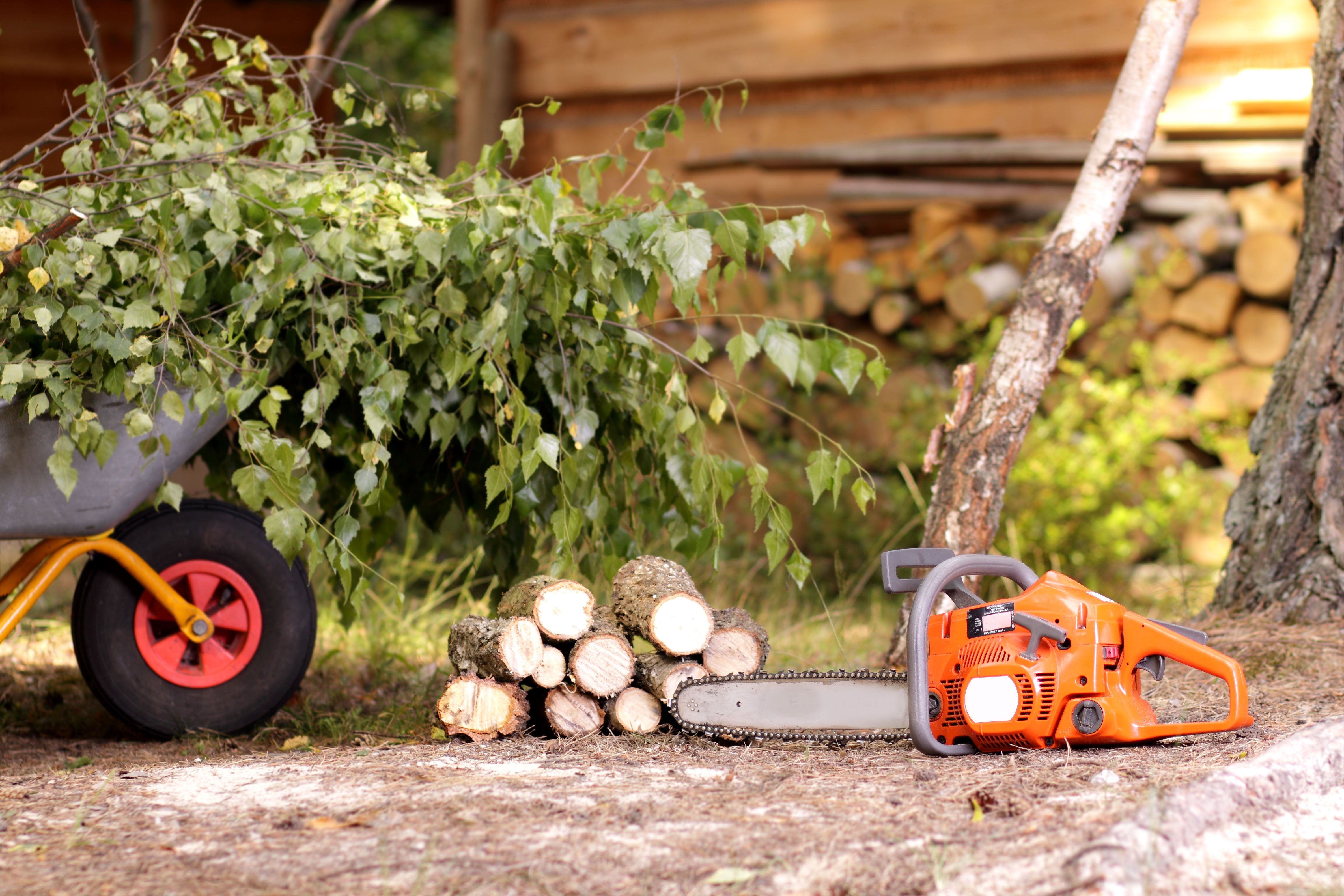 Stump Grinding